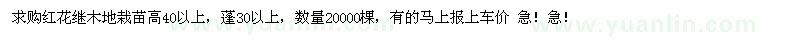 求購紅花繼木地栽苗高40以上