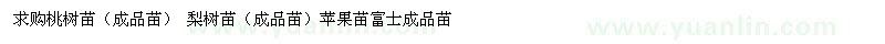 求購桃樹苗（成品苗） 梨樹苗（成品苗）蘋果苗富士成品苗