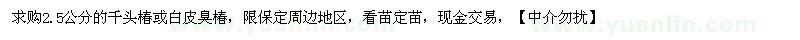 求購2.5公分的千頭椿或白皮臭椿