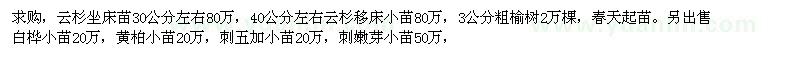 求購云杉坐床苗