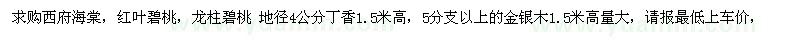 求購西府海棠