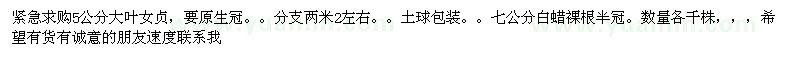 求購白蠟。大葉女貞