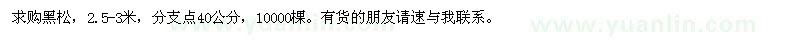 求購2.5-3米黑松