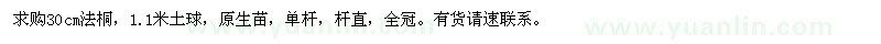 求購(gòu)30cm法桐