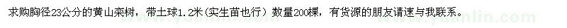 求購黃山欒樹