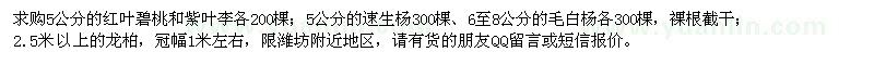 求購(gòu)紅葉碧桃、紫葉李、速生楊、毛白楊、龍柏