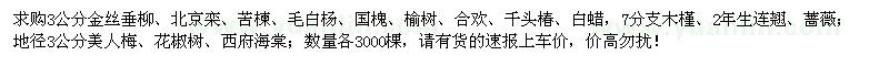 求購金絲垂柳、北京欒、苦楝、毛白楊等苗木
