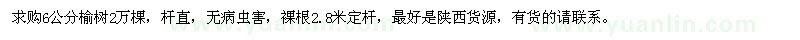 求購6公分榆樹2萬