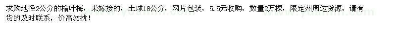 求購(gòu)地徑2公分榆葉梅2萬(wàn)棵
