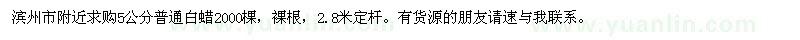 求購5公分普通白蠟
