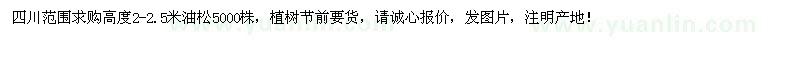 求購高度2-2.5米油松5000株