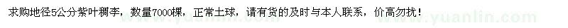 求購地徑5公分紫葉稠李7000棵