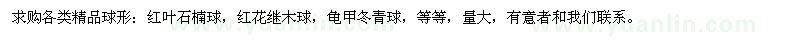 求購紅葉石楠球，紅花繼木球，龜甲冬青球