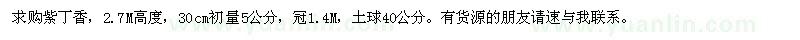 求購2.7M高紫丁香