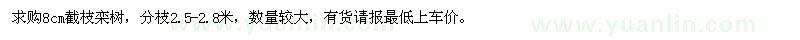 求購8公分欒樹