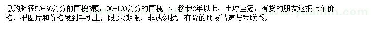 求購國槐
