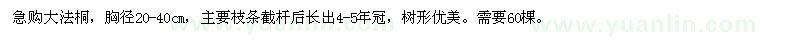 求購(gòu)30-40cm的大法桐60棵
