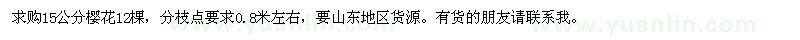 求購15公分櫻花
