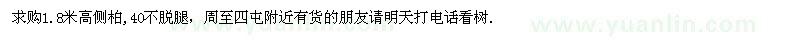 求購(gòu)1.8米高側(cè)柏