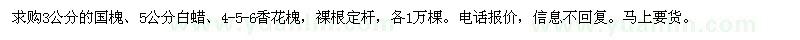 求購國槐、白蠟、香花槐