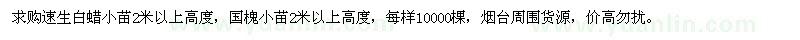 求購(gòu)高2米以上白蠟、國(guó)槐小苗各1萬棵