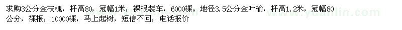 求購3公分金枝槐，地徑3.5公分金葉榆