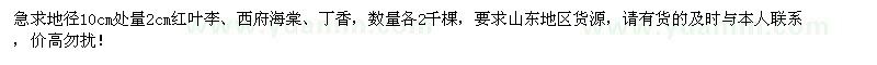 求購(gòu)2cm紅葉李、西府海棠、丁香各2千棵