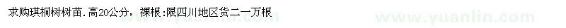 求購琪桐樹樹苗
