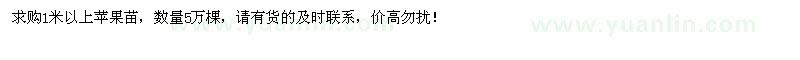 求購1米以上蘋果苗5萬棵  