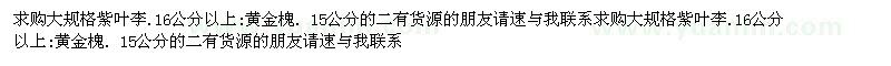 求購大規(guī)格紫葉李