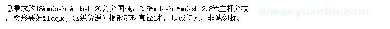 求購國槐