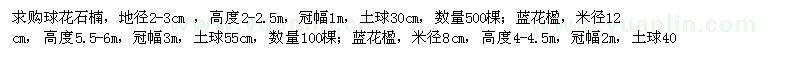 求購球花石楠,藍花楹,紅花紫荊,紫花野牡丹,杜鵑球