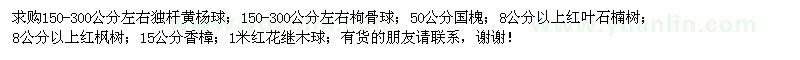 求購(gòu)獨(dú)桿黃楊球、枸骨球、國(guó)槐等苗木
