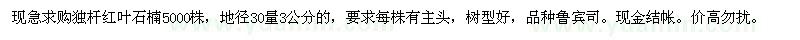 求購獨桿紅葉石楠5000株