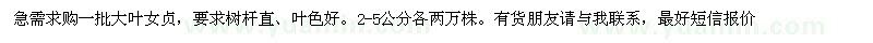求購2-5公分大葉女貞