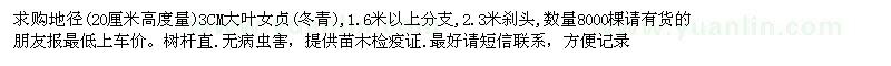 求購3CM大葉女貞(冬青)