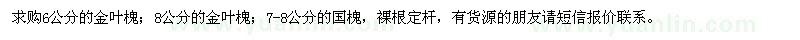 求購金葉槐、國槐