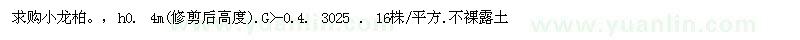求購(gòu)小龍柏