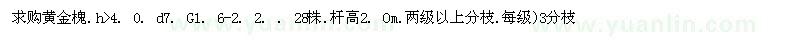 求購黃金槐