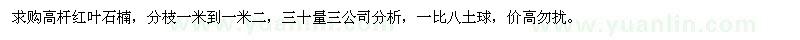 求購高桿紅葉石楠