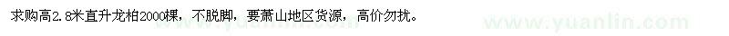 求購高2.8米直升龍柏2000棵