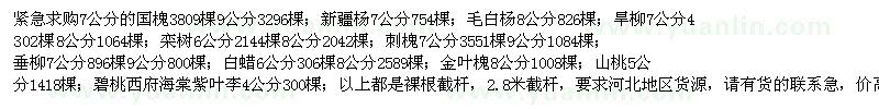 求購國槐、新疆楊、毛白楊、旱柳、欒樹等苗木