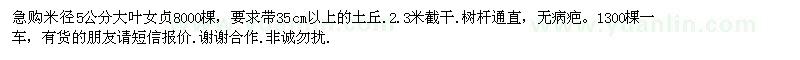 求購米徑5公分大葉女貞