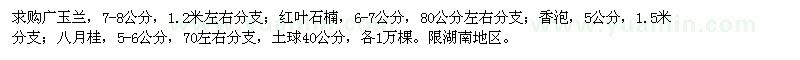 求購廣玉蘭,紅葉石楠,香泡,八月桂