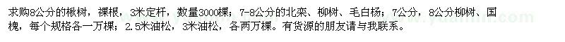 求購(gòu)楸樹(shù),北欒,柳樹(shù),毛白楊,國(guó)槐,油松