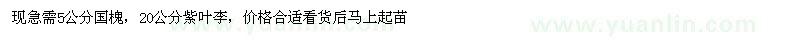 求購5cm國槐、20cm紫葉李，大量求購！??！