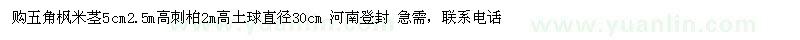 求購五角楓米莖5cm2.5m高刺柏2m高土球直徑30cm