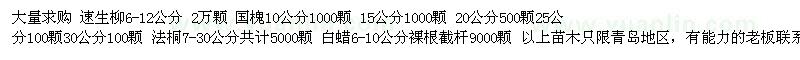 求購(gòu)青島地區(qū)求購(gòu)，柳樹 法桐 國(guó)槐 白蠟