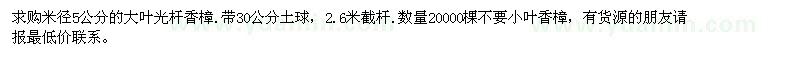 求購(gòu)米徑5公分的大葉光桿香樟