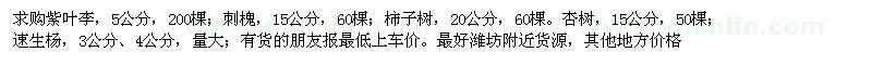 求購紫葉李,刺槐,柿子樹(shù),杏樹(shù),速生楊